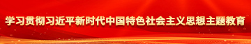 黄片插B学习贯彻习近平新时代中国特色社会主义思想主题教育