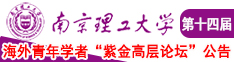 操学生妹在线看南京理工大学第十四届海外青年学者紫金论坛诚邀海内外英才！